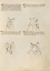 Fiore dei Liberi